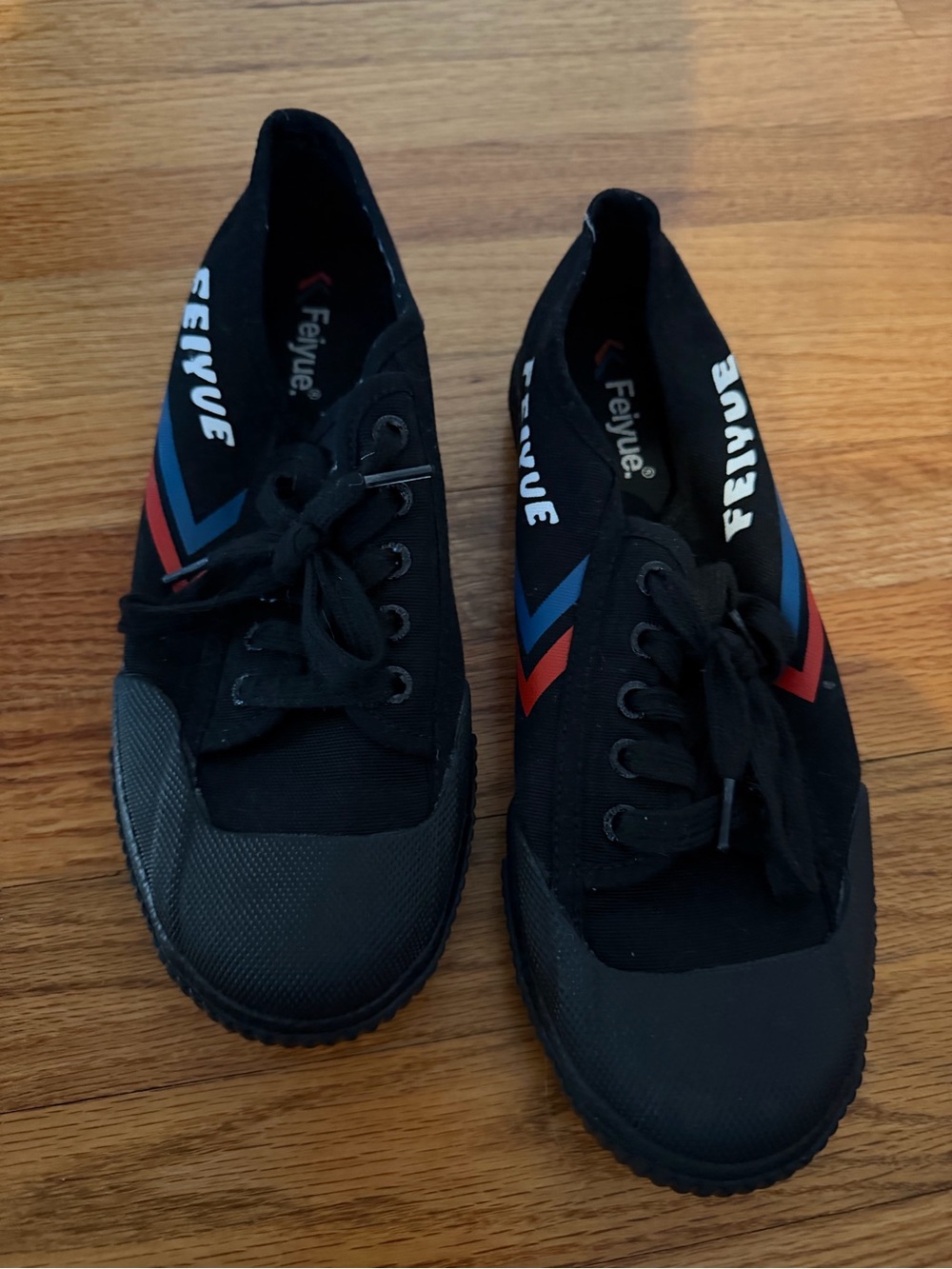 Feiyue Parkour Black Canvas Sneakers with Red & Blue Chevron Details